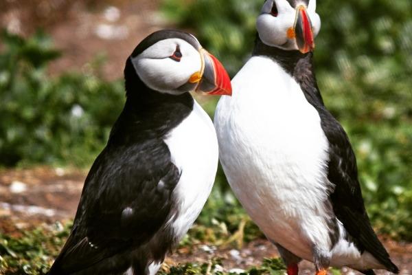 吉利发财的公司名字 吉祥霸气又聚财的公司名字