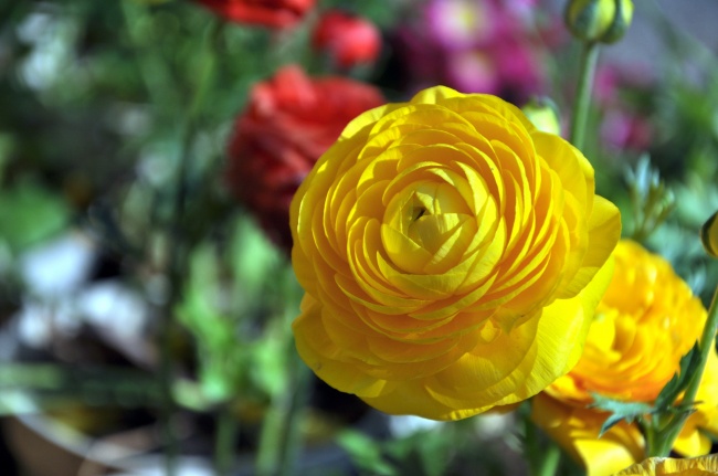 水瓶座2023年婚姻运5月情况  运势详解