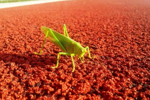 射手男跟摩羯女合得来吗 射手男摩羯女的缘分