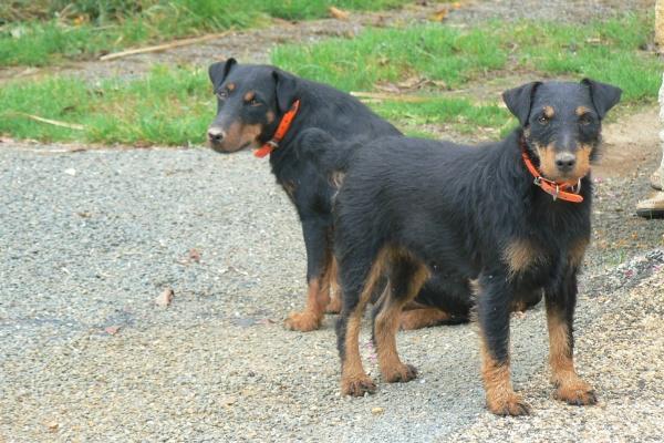 免费给公司取名大全 吉利大气的公司名字