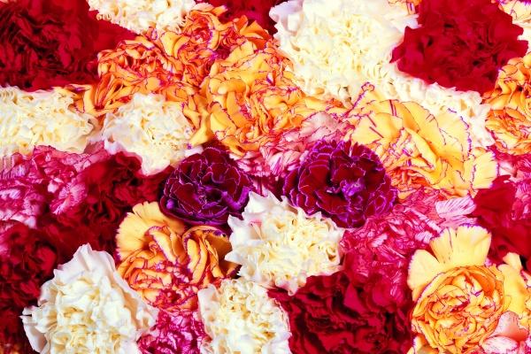 2023年3月17日能否开业做生意 今日开业能否财源滚滚进全门