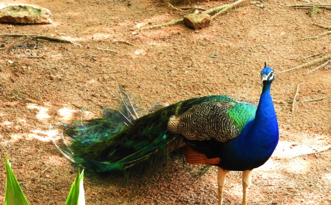 比较小众的公司名字 非常有创意的公司名字