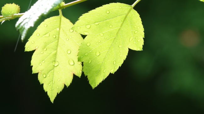 一听就惊艳的公司名字 公司名字大全2023年