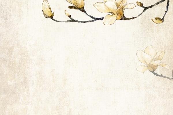 农历2023年二月十二出生的女宝宝好吗,五行旺缺查询