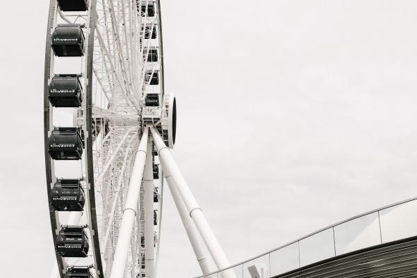 双鱼座2023年最终感情归宿，双鱼座2023年感情发展怎样