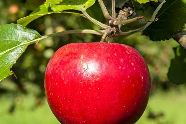 2023年3月13日开业日子好吗 今日开业则生意火来门市闹