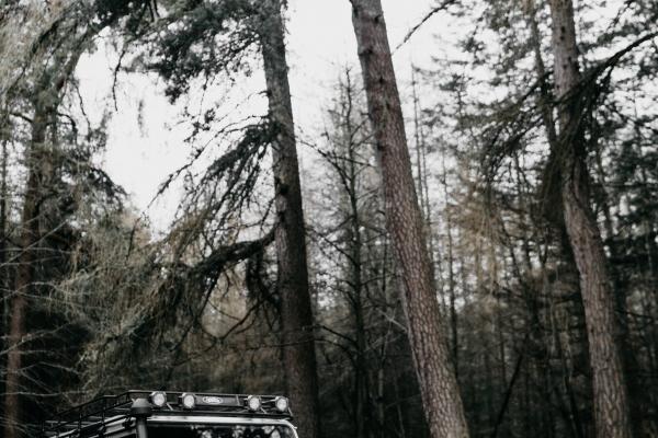 2023年3月15日宜开张吗 今日开业能否生意兴隆连广宇