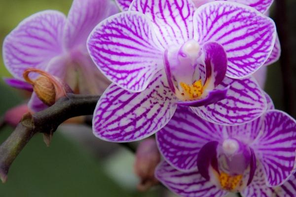 吉利发财的公司名字 吉祥霸气又聚财的公司名字