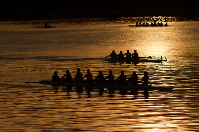 88年属龙36岁有一灾怎么化解，1988年属龙2024年本命年命运如何
