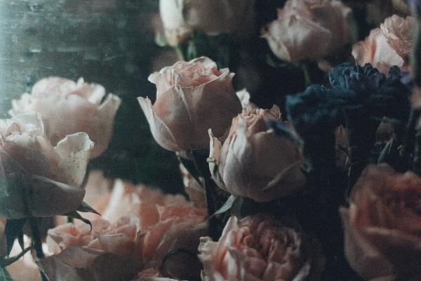 永远都爱金牛女的星座男 处座男为什么爱金牛女