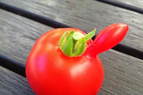 水瓶座2023年提运指南5月情况 好用的技巧