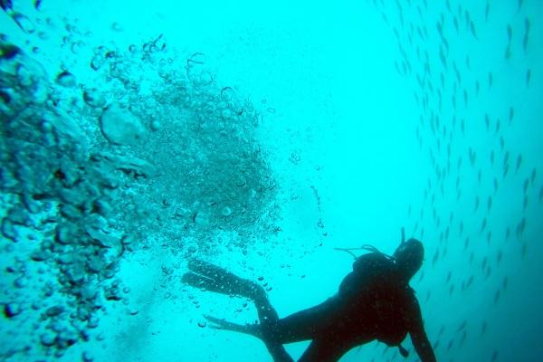 蛇男兔女适合做夫妻吗  是稳定且协调的一对