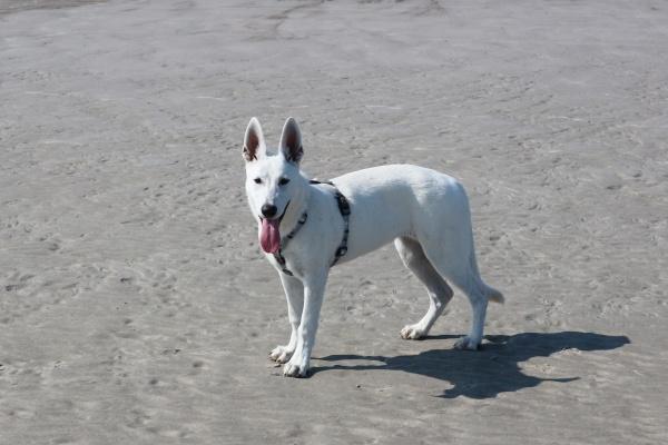 判答 巨蟹座本周2.6-2.12运势解读来啦！