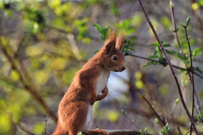 2023年处女座婚姻运6月运程详解 需要抓住机会  　　