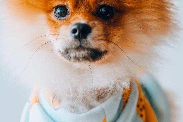 财源滚滚的理疗馆名字2023 开店怎么起名字