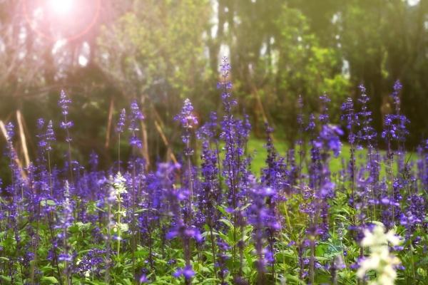 建材最吉利旺财的公司名字大全 简单大气建材公司名字