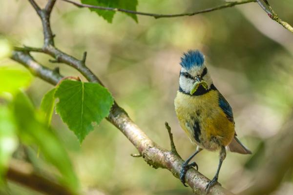 巨蟹女和水瓶男是天造地设 水瓶男很容易被巨蟹女看穿