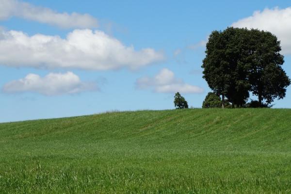 正月过了十五能搬家吗 2023年元宵节可以搬家吗