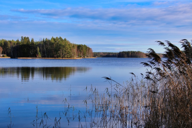 2023给网店取名 洋气好听 引人注意的店名