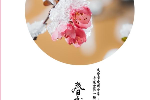 艾菲尔 十二星座【一周运势2.6-2.12】提醒