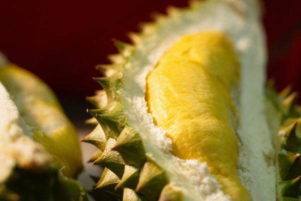 金牛座男和天秤座女相配吗 金牛座和天秤座的婚姻怎么样