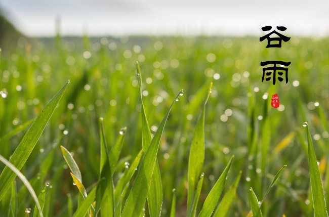 2023谁最旺金牛座 兔年全年运势怎么样