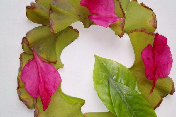 白羊男和天秤女有结果吗 白羊男和天秤女的缘分