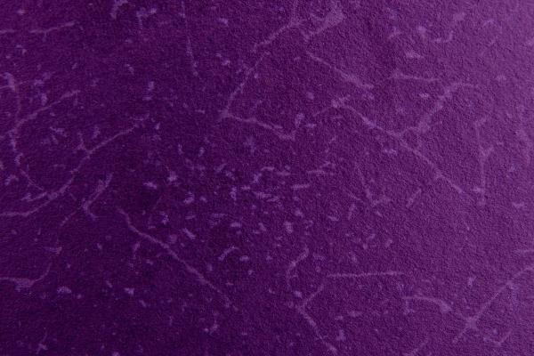 2023年3月3日出生宝宝的五行命理 本日出生金主义则疏财仗义