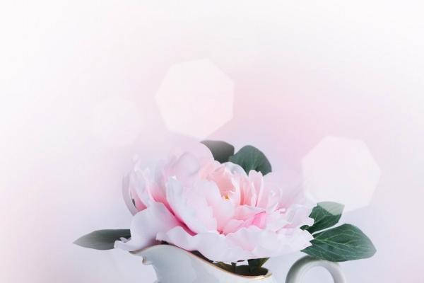 2023年3月11日五行穿衣指南 穿什么吉利