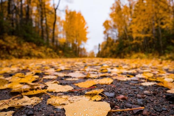 2023年3月9日宝宝出生的五行缺什么 今日出生火赖木生木多火炽