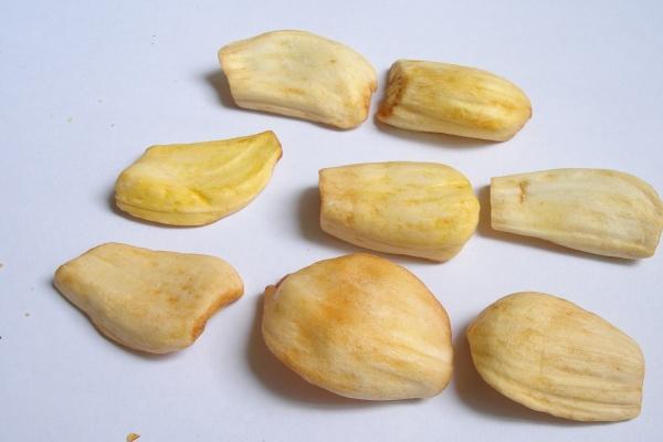 艾菲尔  接好运！十二星座上半年【好运时机】大公开