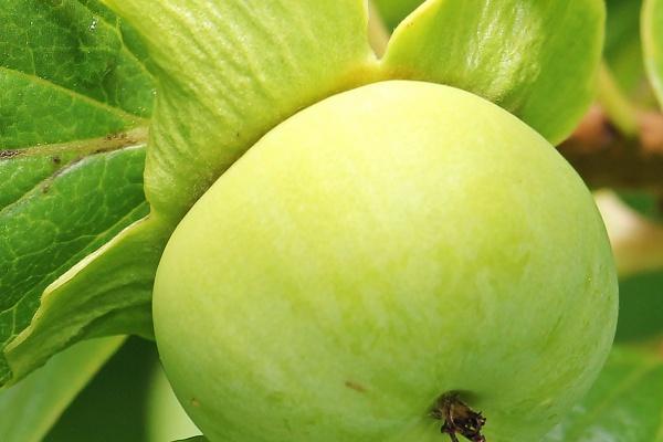 运输公司名字起名大全 运输公司起名三四个字