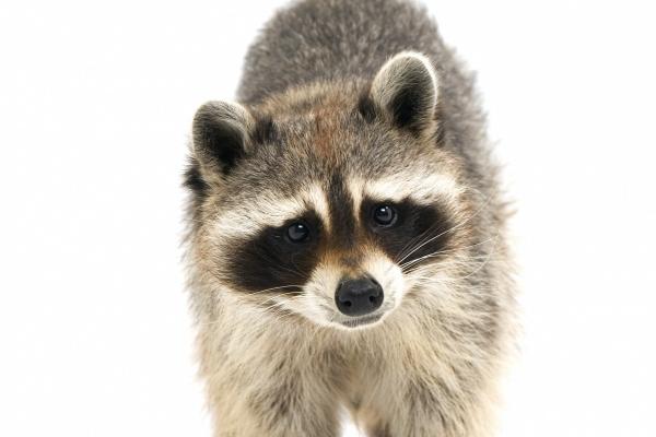 2023年3月6日宝宝出生的五行属性 本日五行火弱遇水必不熄灭