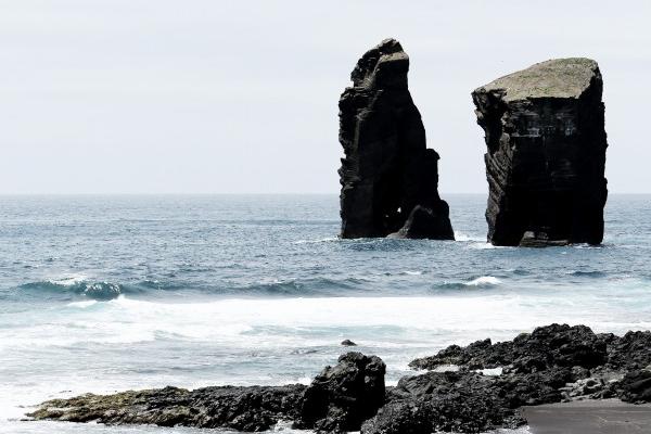 家政公司取什么名字最好 注册家政公司名字大全