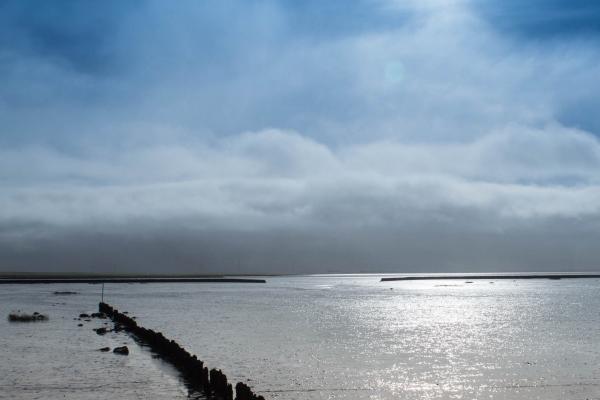 2023年3月2日出生的宝宝五行属性 本日出生土主信则内向好静