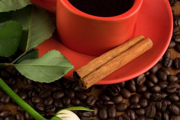 明年闰二月适合结婚吗2023 良辰吉日查询