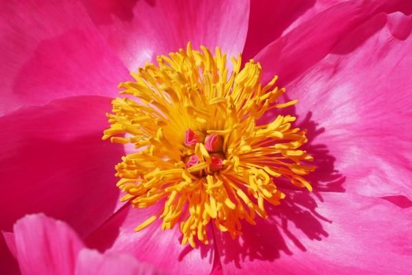 文化公司取名字大全免费 文化传播有限公司取名