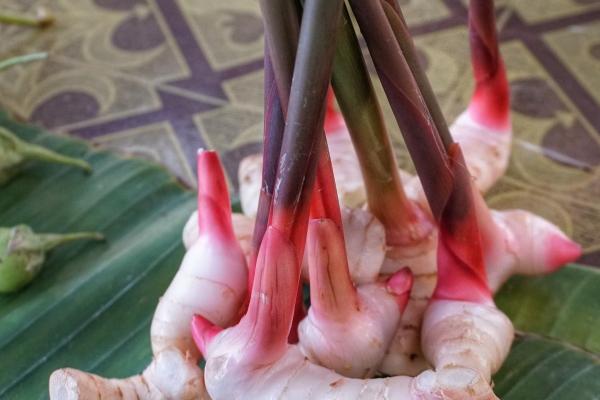 2023年3月入宅最吉利好日子 可以入住新房的日子