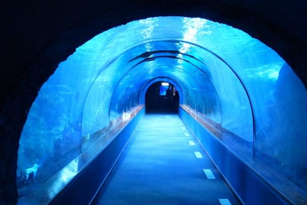 2023年闰二月初九可以结婚吗 今天日子好不好