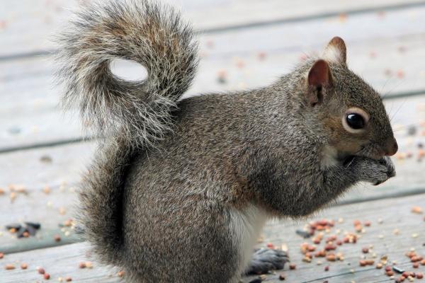 唐立淇  12星座2月感情运势！