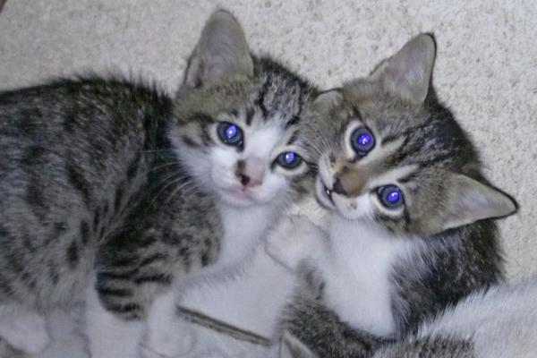 艾菲尔 女人何苦为难女人!【正宫力爆棚】星座女大点名