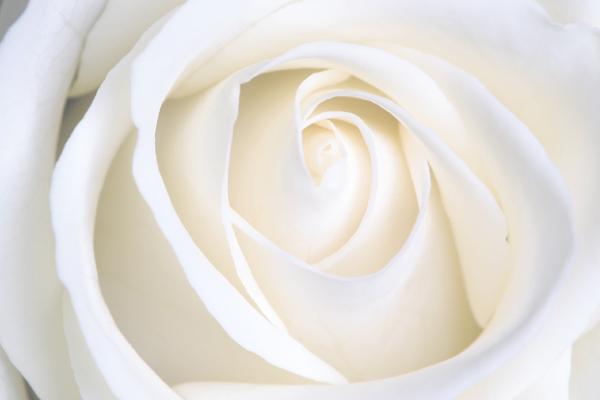 2023年农历二月十六出生的女孩什么命,缺什么五行