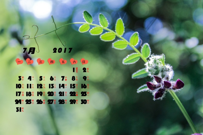 天秤座2023年桃花运7月情况  爱情逆转飞升