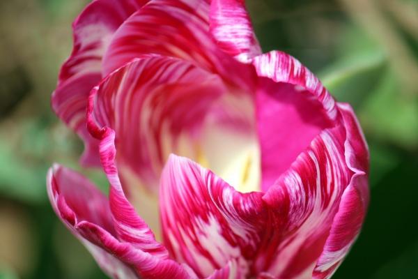 2023年走好运的八字 升职加薪 财运好