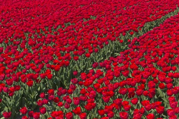 2023年巨蟹座6月提运指南分析 避免情绪化问题  　　