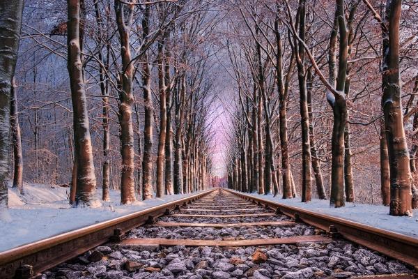 癸未日柱遇2023年癸卯运势 感情稳定且事业顺心