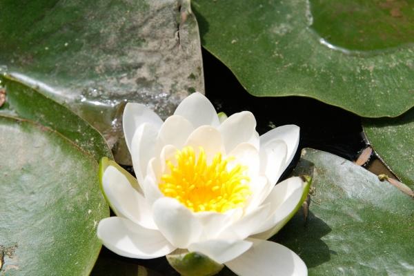 2023年农历2月出生的宝宝五行缺什么 命好不好