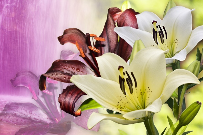 戊寅日柱逢2023癸卯 事业有贵人提拔可成就非凡