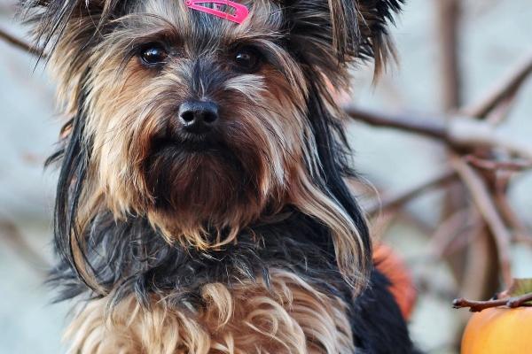 艾菲尔 天生绝配!个性很合的【星座男女配对】