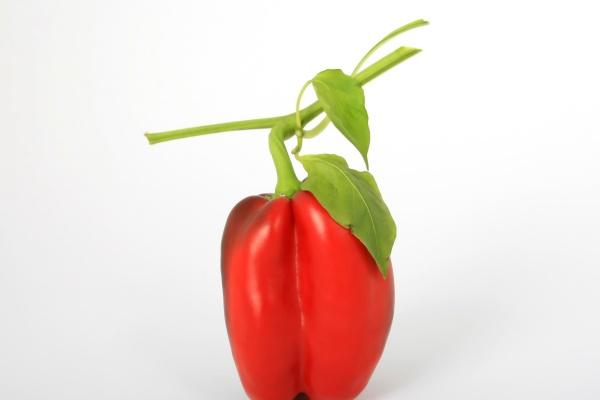 2023年3月适宜嫁娶 本月哪几天可以结婚呢